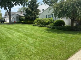 Susan H.'s Lawn Service service result