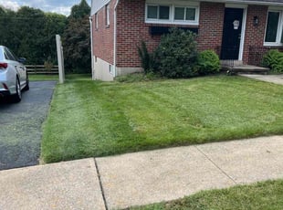 Timothy c.'s Lawn Care service result