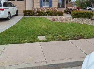 Anne T.'s Grass Cutting service result
