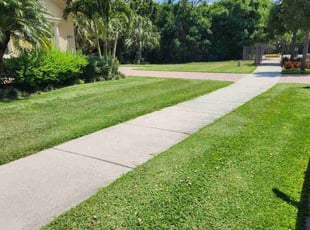 Dwayne B.'s Lawn Mowing Service service result