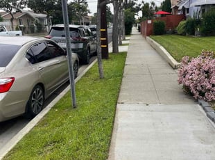 Michael J.'s Lawn Mowing service result
