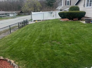 Yesenia A.'s Lawn Service service result