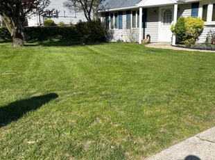 Alicia P.'s Lawn Care service result