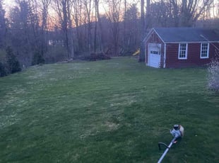 Vicki W.'s Lawn Care service result