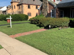 Corey A.'s Lawn Care service result
