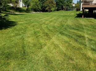 Lyle S.'s Lawn Service service result