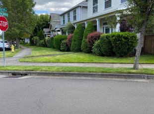 GREG C.'s Lawn Care service result