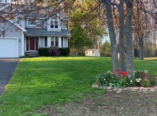 Jason V.'s Lawn Service service result