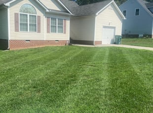Steven P.'s Yard Cutting service result