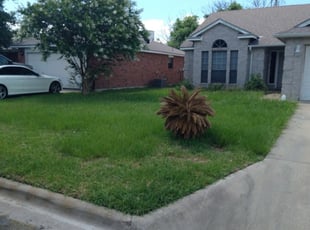Denise S.'s Lawn Service service result