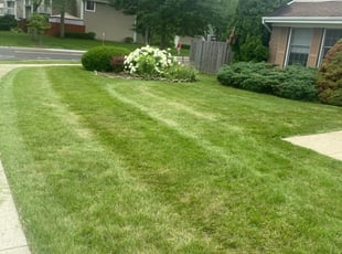 James B.'s Lawn Service service result
