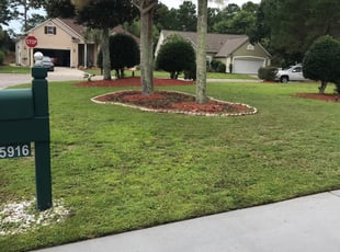 Debie G.'s Lawn Mowing service result