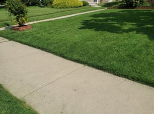 Burt S.'s Yard Cutting service result