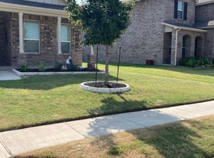 Armina F.'s Yard Cutting service result