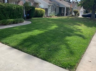 Henry W.'s Lawn Maintenance service result
