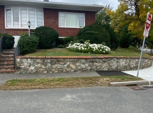 Sandi C.'s Grass Cutting service result