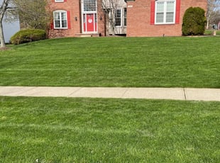 Donna G.'s Lawn Mowing service result