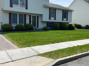 Frank S.'s Lawn Care service result