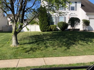 Richard D.'s Lawn Service service result