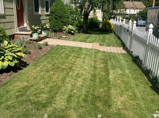 Kamia S.'s Lawn Mowing Service service result