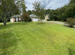 Richard H.'s Lawn Mowing service result