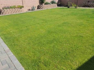 Katherine P.'s Lawn Maintenance service result
