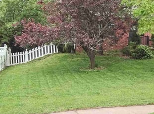 Beverly C.'s Lawn Mowing service result