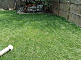 LaTosha G.'s Lawn Care service result