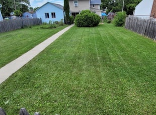 Todd E.'s Lawn Service service result