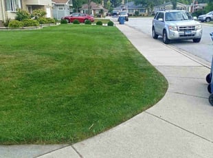 Jacob A.'s Lawn Mowing service result