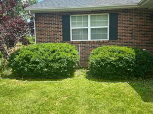 Carrie B.'s Lawn Care service result