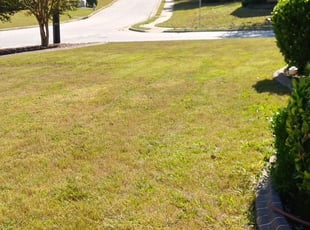 Affordable lawn mowing service sales near me