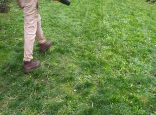 Local lawn mowing best sale services near me