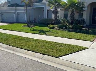 Ladarius J.'s Lawn Care service result