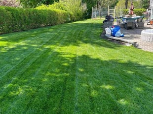 Ricardo S.'s Lawn Maintenance service result