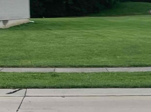 Lamont H.'s Lawn Mowing Service service result