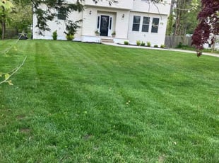 Rama T.'s Lawn Care service result