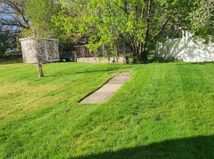 Christian D.'s Lawn Mowing service result