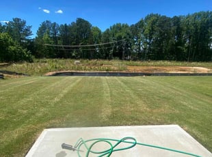 Sigmone K.'s Lawn Mowing service result