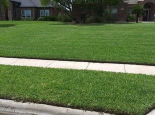 Sharon B.'s Lawn Care service result