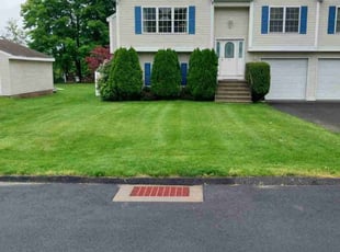 Angelica L.'s Lawn Mowing service result