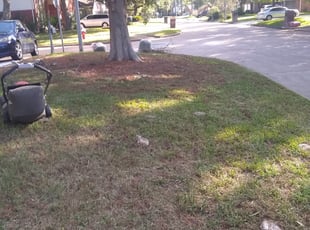 Crosby TX Lawn Care Service Lawn Mowing from 19 Best of 2024