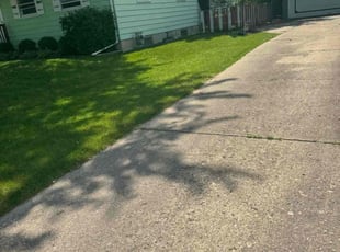 Adeline K.'s Lawn Maintenance service result