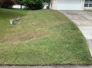 Dayton lawn deals mowing