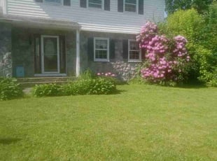 Malaya C.'s Lawn Mowing Service service result