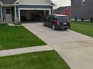 Frances A.'s Yard Cutting service result