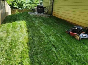 Deerpark lawn mower outlet