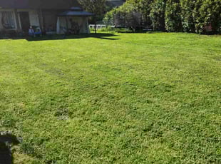 Michael S.'s Lawn Service service result