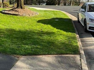 Jaime R.'s Yard Cutting service result
