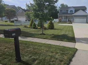 Walter m.'s Lawn Care service result